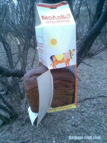 суровая кормушка