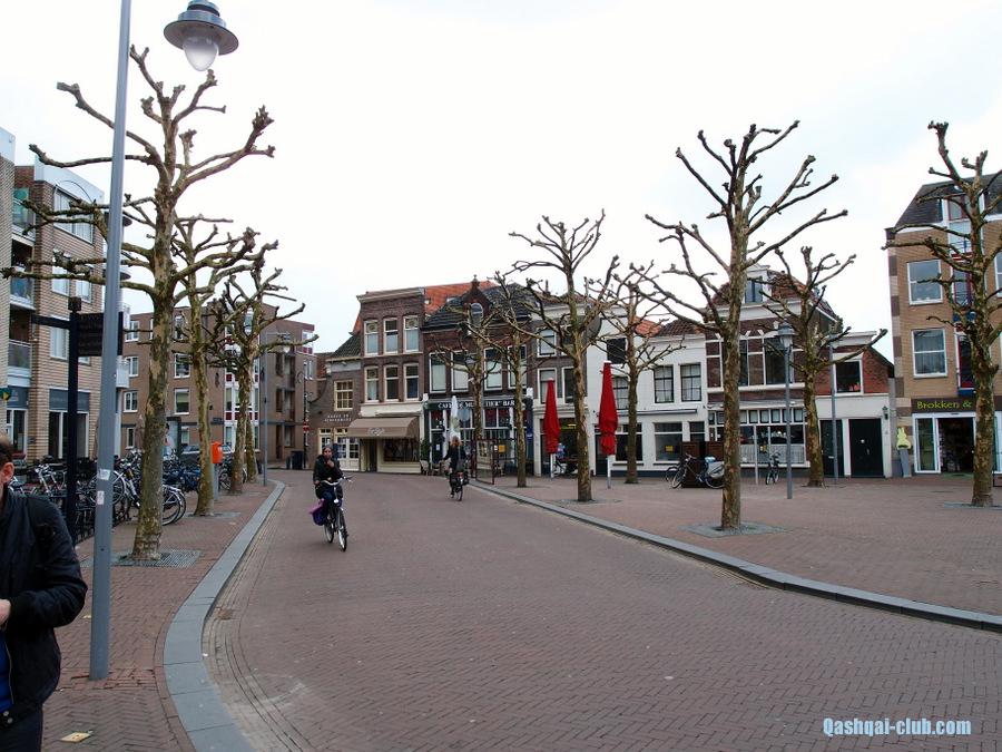 P4243887