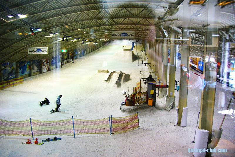 Голландия на авто 36