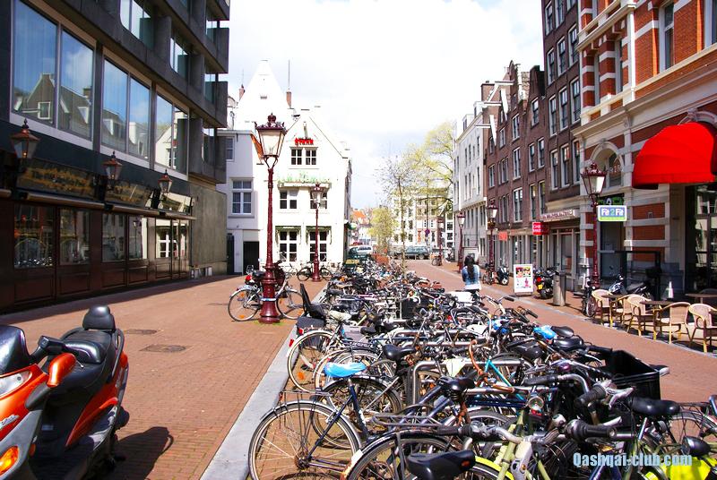 Голландия на авто 48