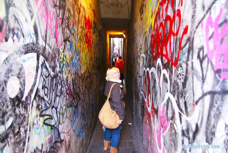 Голландия на авто 59