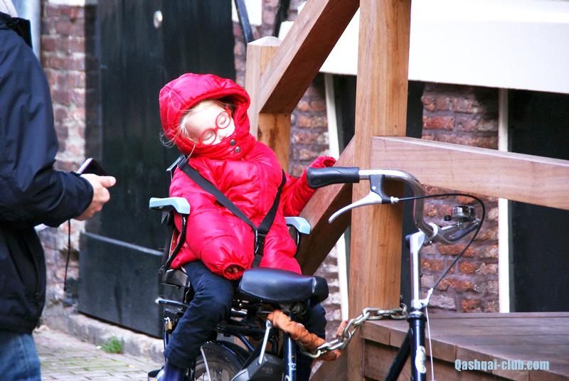 Голландия на авто 61