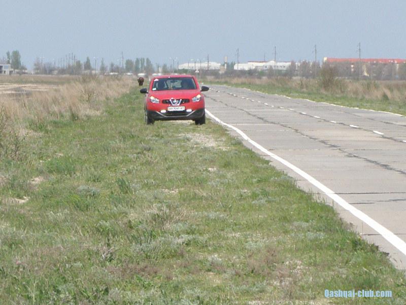 P5013936 cr