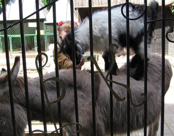 Изображение (66).jpg