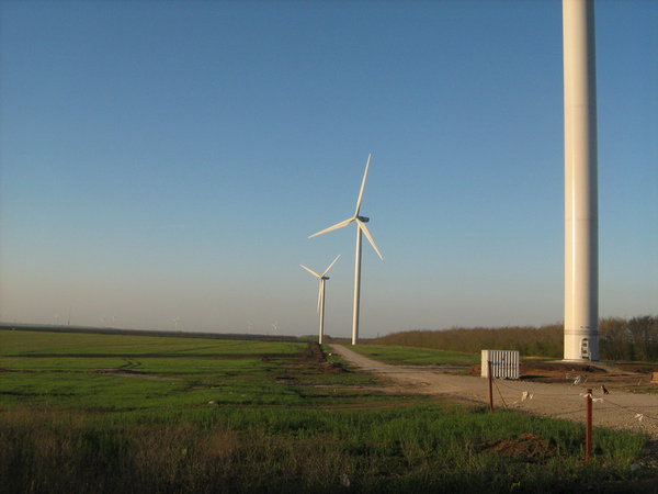 IMG_3648_новый размер.JPG (126.52 KiB) Просмотров: 3439 IMG_3648_новый размер.JPG