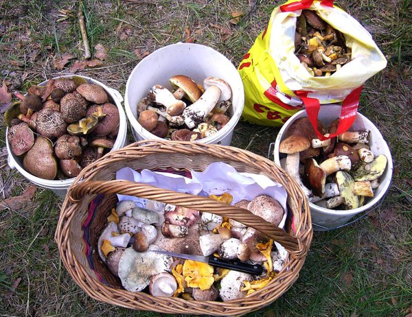 На четверых.jpg