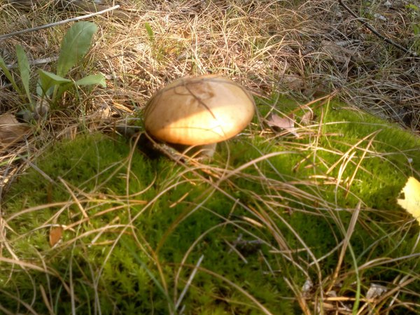 2012-08-26-133 - копия.jpg