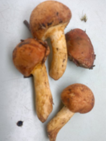 2012-08-26-141 - копия.jpg