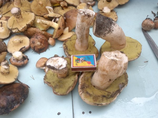 2012-08-26-142 - копия.jpg