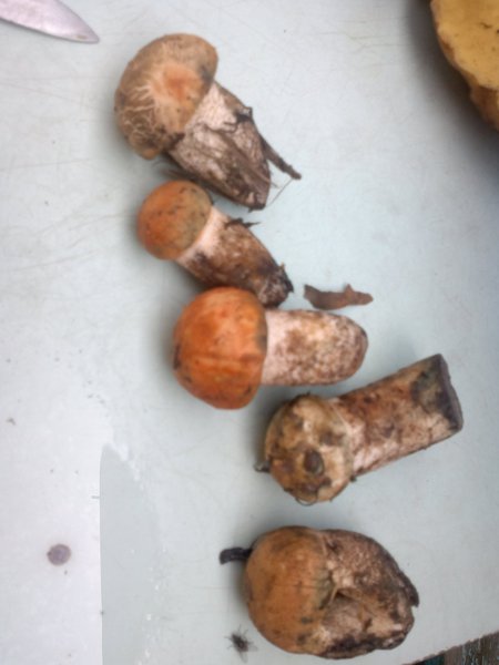 2012-08-26-140 - копия.jpg