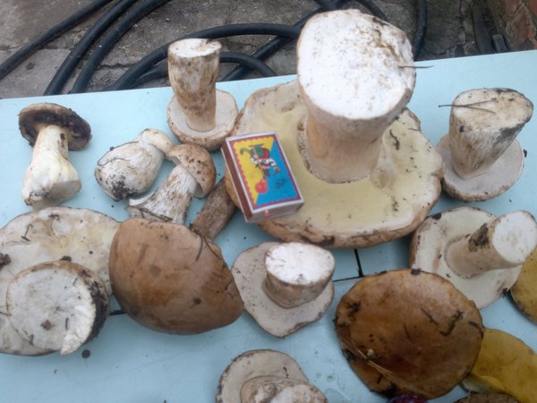 2012-08-26-144 - копия.jpg