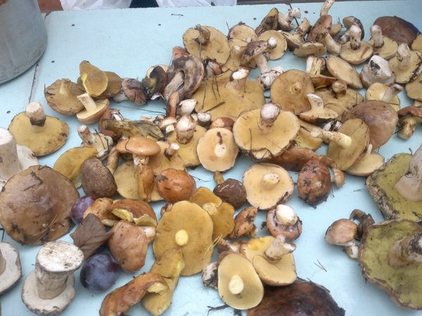 2012-08-26-146 - копия.jpg