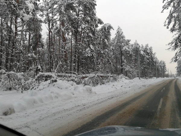 2012-12-23 08.48.45.jpg