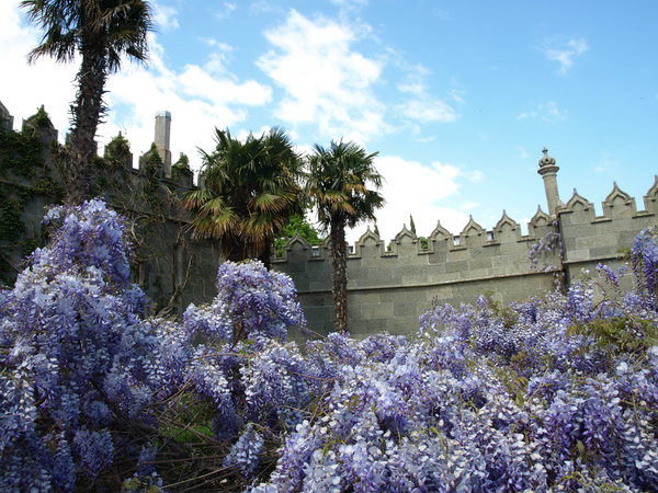 P5042466.JPG (2.26 MiB) Просмотров: 2556 P5042466.JPG