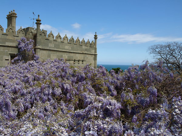 P5042469.JPG (2.13 MiB) Просмотров: 2560 P5042469.JPG