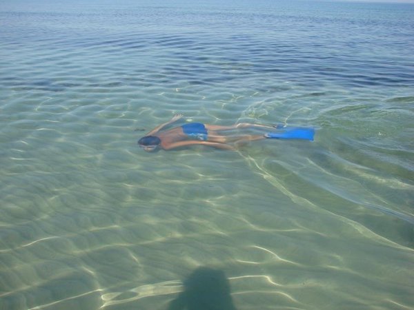 image.jpg (88.22 KiB) Просмотров: 2693 image.jpg