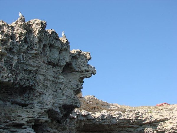 image.jpg (118.17 KiB) Просмотров: 2688 image.jpg