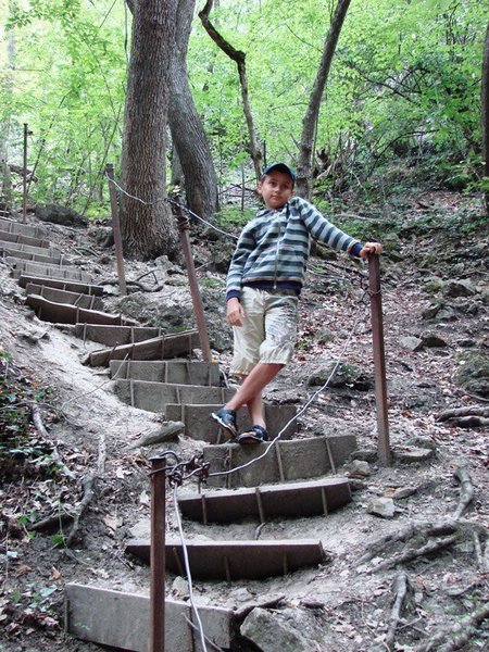 image.jpg (323.34 KiB) Просмотров: 2688 image.jpg