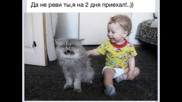 Да не реви.jpg