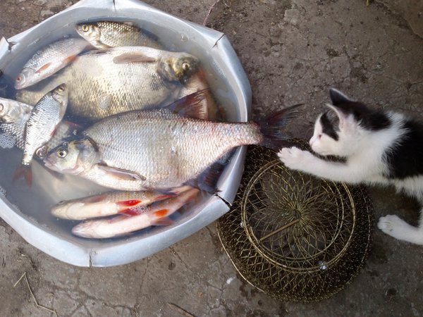 2013-05-12-0032 - копия.jpg (1 MiB) Просмотров: 1539 2013-05-12-0032 - копия.jpg