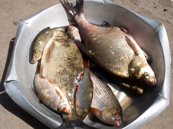 2013-05-12-0025 - копия.jpg (1.02 MiB) Просмотров: 1539 2013-05-12-0025 - копия.jpg