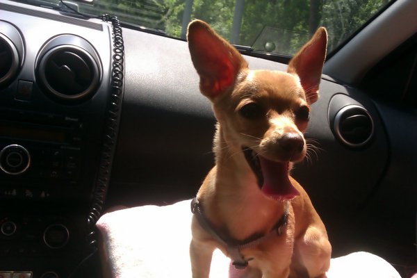 IMAG0248.jpg (513.63 KiB) Просмотров: 1473 IMAG0248.jpg