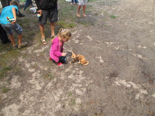 IMG_0756_1.jpg (136.24 KiB) Просмотров: 1912 IMG_0756_1.jpg