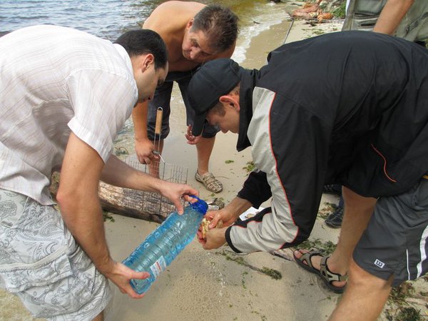 IMG_0775_1.jpg (97.5 KiB) Просмотров: 1912 IMG_0775_1.jpg