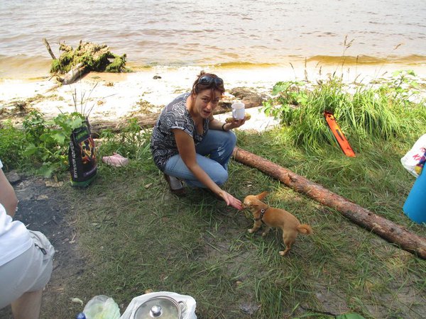 IMG_0794_1.jpg (141.78 KiB) Просмотров: 1911 IMG_0794_1.jpg