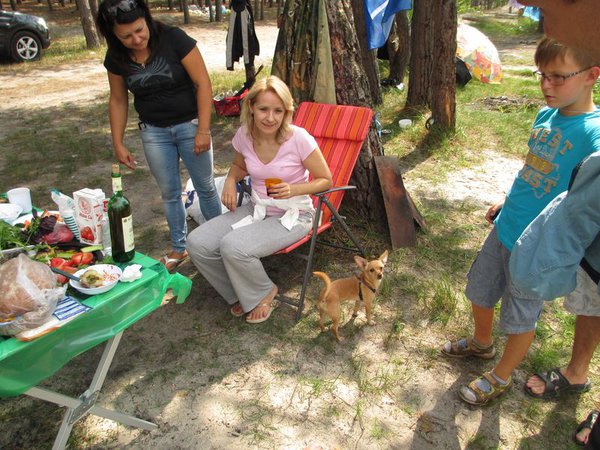 IMG_0810_1.jpg (139.77 KiB) Просмотров: 1911 IMG_0810_1.jpg