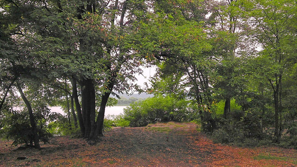 IMAG0312.jpg (1.79 MiB) Просмотров: 2135 IMAG0312.jpg