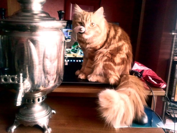 Ричи.jpg (752.44 KiB) Просмотров: 2959 Ричи.jpg