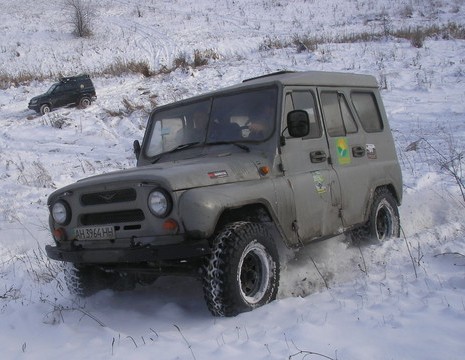 мыш.jpg