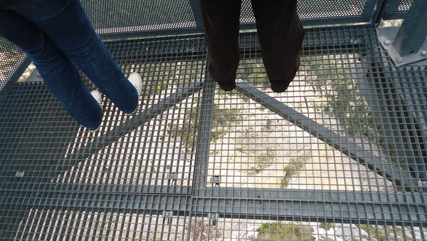 DSC04495_новый размер.JPG (216.28 KiB) Просмотров: 2740 DSC04495_новый размер.JPG