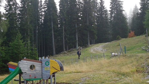 DSC04512_новый размер.JPG (192.49 KiB) Просмотров: 2588 DSC04512_новый размер.JPG