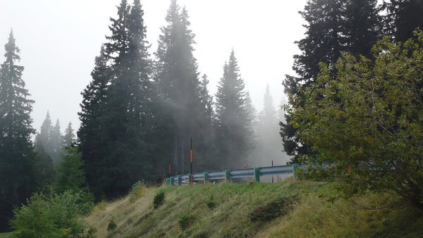 DSC04514_новый размер.JPG (159.23 KiB) Просмотров: 2740 DSC04514_новый размер.JPG