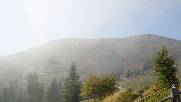 DSC04533_новый размер.JPG (97.34 KiB) Просмотров: 2584 DSC04533_новый размер.JPG