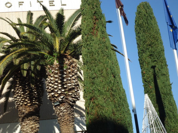 DSC05057_новый размер.JPG (273.87 KiB) Просмотров: 3943 DSC05057_новый размер.JPG