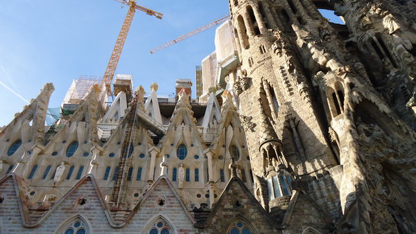 DSC05181_новый размер.JPG (190.08 KiB) Просмотров: 3763 DSC05181_новый размер.JPG