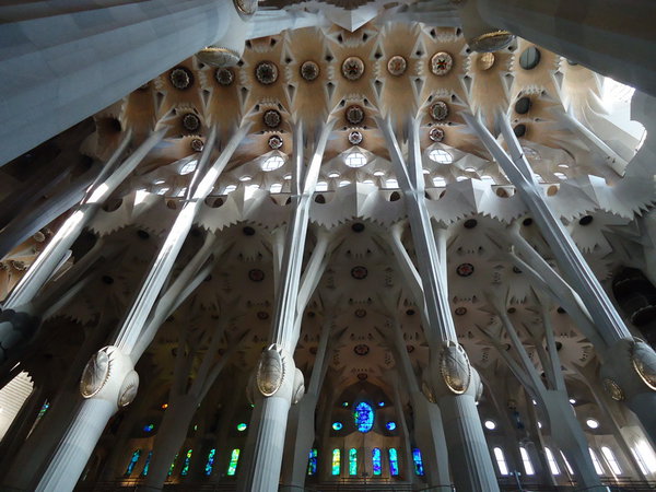 DSC05170_новый размер.JPG (201.78 KiB) Просмотров: 3771 DSC05170_новый размер.JPG