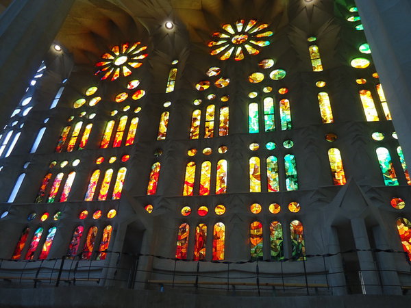 DSC05166_новый размер.JPG (213.12 KiB) Просмотров: 3761 DSC05166_новый размер.JPG