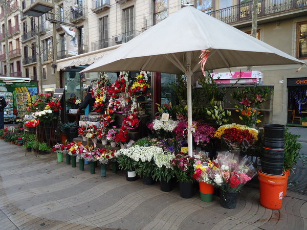 DSC05147_новый размер.JPG (249.87 KiB) Просмотров: 3763 DSC05147_новый размер.JPG