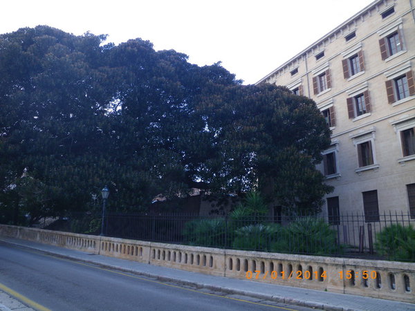 IMGP1111_новый размер.JPG (198.79 KiB) Просмотров: 3761 IMGP1111_новый размер.JPG