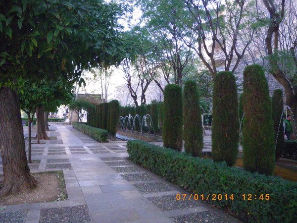 IMGP1083_новый размер.JPG (267.67 KiB) Просмотров: 3761 IMGP1083_новый размер.JPG