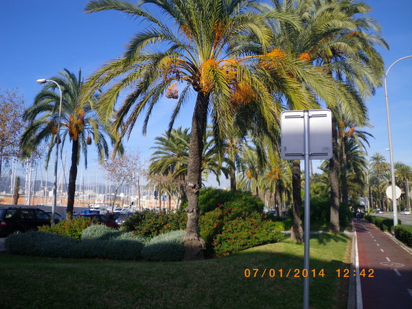 IMGP1080_новый размер.JPG (288.43 KiB) Просмотров: 3753 IMGP1080_новый размер.JPG