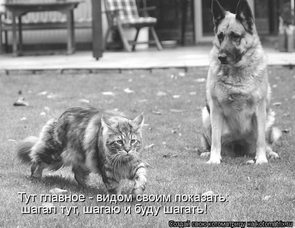 12434_133.jpg (72.2 KiB) Просмотров: 10119 12434_133.jpg