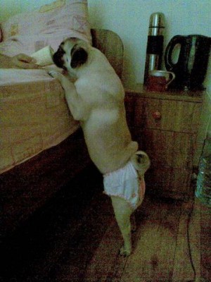 SonyaMesya4nie2.jpg (43.86 KiB) Просмотров: 1514 SonyaMesya4nie2.jpg