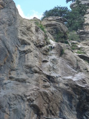 DSC00854.JPG (208.33 KiB) Просмотров: 1544 DSC00854.JPG