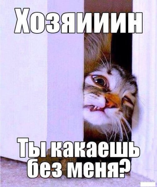 8.jpg (108.76 KiB) Просмотров: 4560 8.jpg