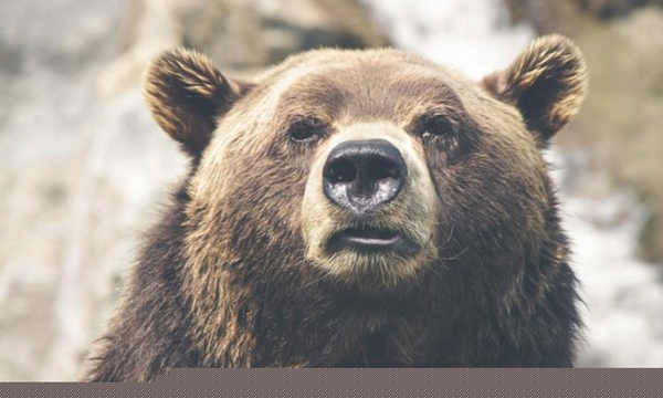 untitled.png (437.7 KiB) Просмотров: 3598 untitled.png